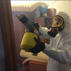 Уничтожение клопов в квартире. Бирюлёво Восточное 