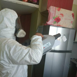Уничтожение насекомых в квартире. Бирюлёво Восточное 